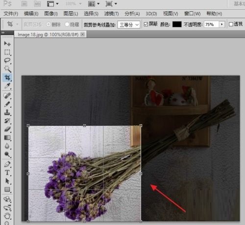 photoshop怎么进行截图
