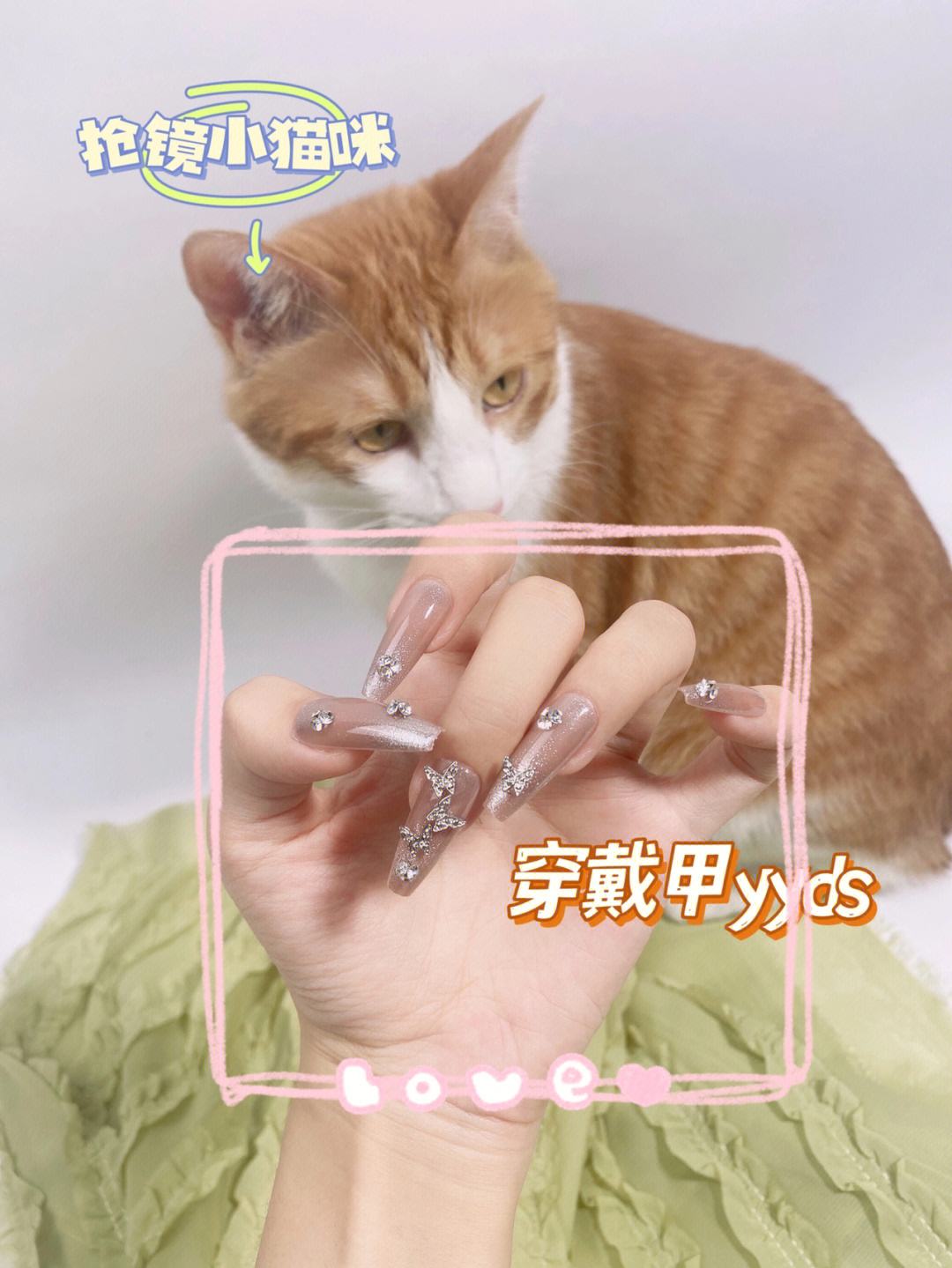美国人与动物胶配方有几种,音乐创作灵感分享，激发创作灵感，创作出动人音乐！