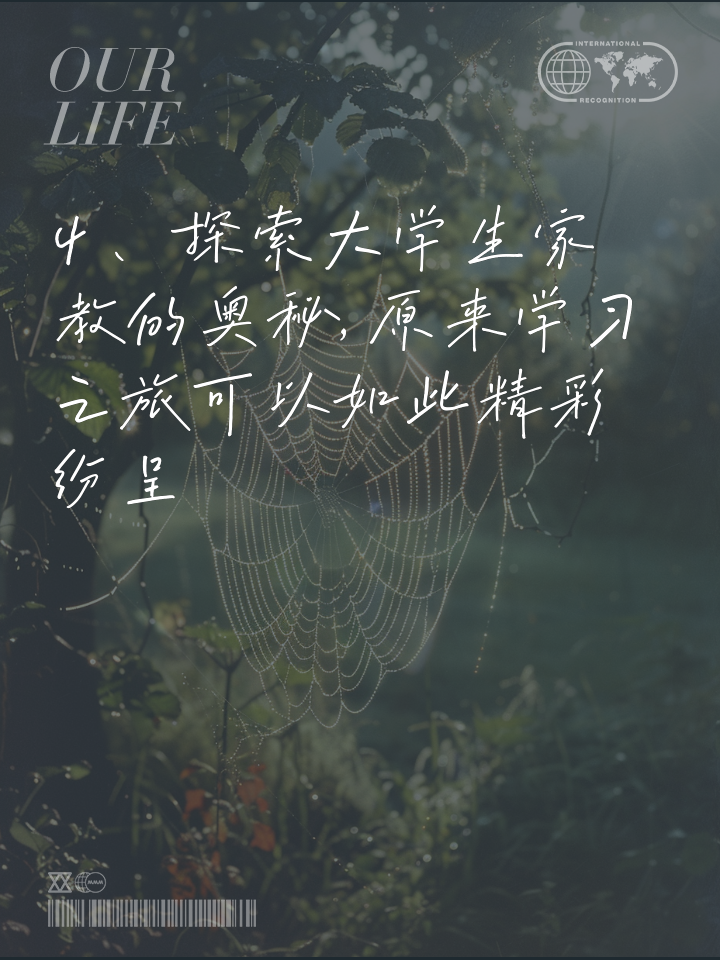 大学生家教,独家行业揭秘，内幕曝光，引人关注！